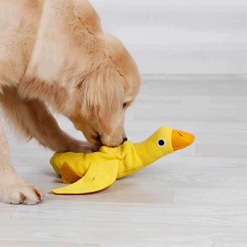 Quack Find Puzzle Toy