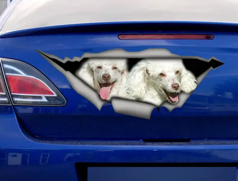 Sticker, poodles car sticker , poodle decal, pet sticker
