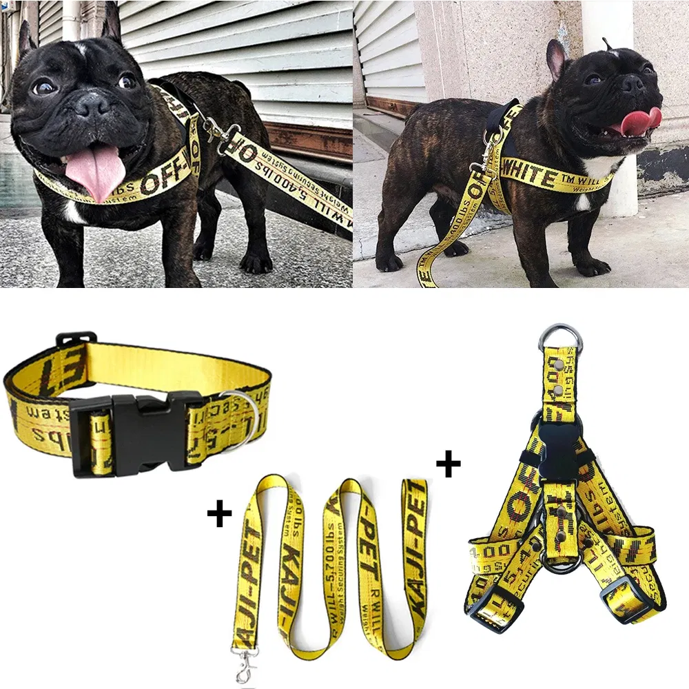 Color: Yellow, Size: S - Fashion Dog Collar Leash Set Gold Chain Nylon Pets Dog Collar Leash Long Rope Lettered Collar Perro Collar For Pitbull Puppy Dog