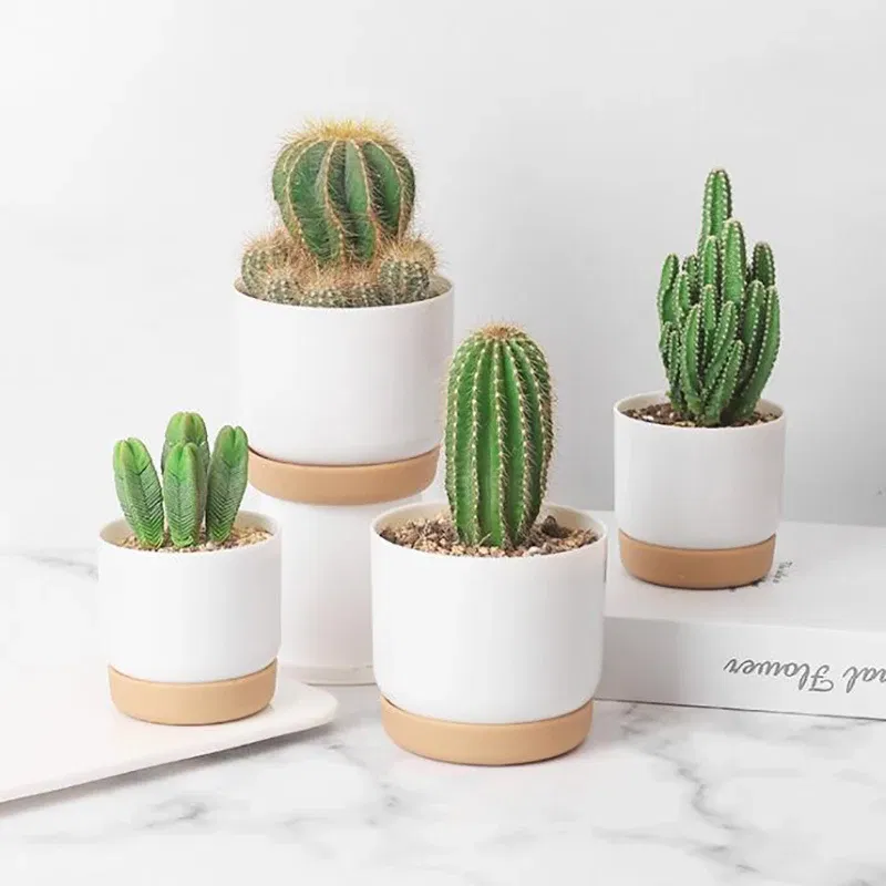 Color: WHITE - 1pcs Succulent Plant Pot Six-sided Ceramic Pot Succulent Flowerpot Set With Bamboo Support For Desktop