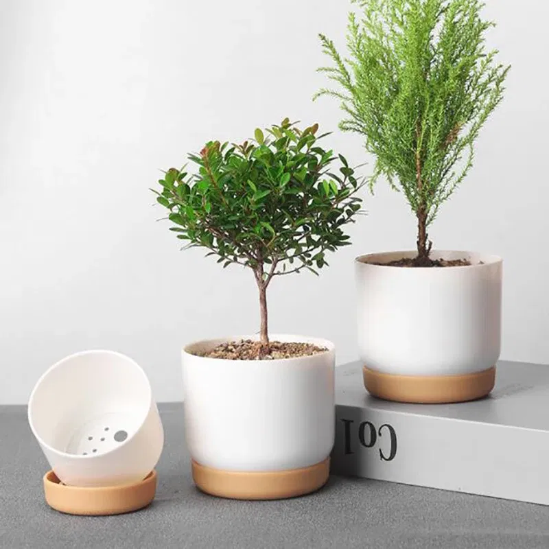 Color: WHITE - 1pcs Succulent Plant Pot Six-sided Ceramic Pot Succulent Flowerpot Set With Bamboo Support For Desktop