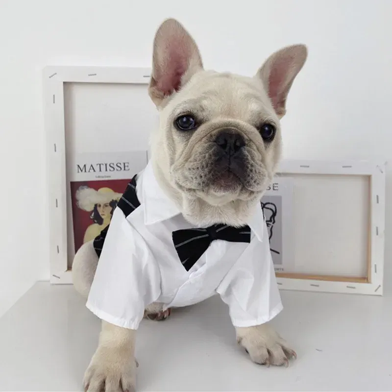 Color: Dark Brown, Size: 5XL - Dog Gentleman Wedding Suit Clothes Dog Suit Bow Tie Clothes Halloween Christmas Costume For Small Dogs Teddy Bulldog