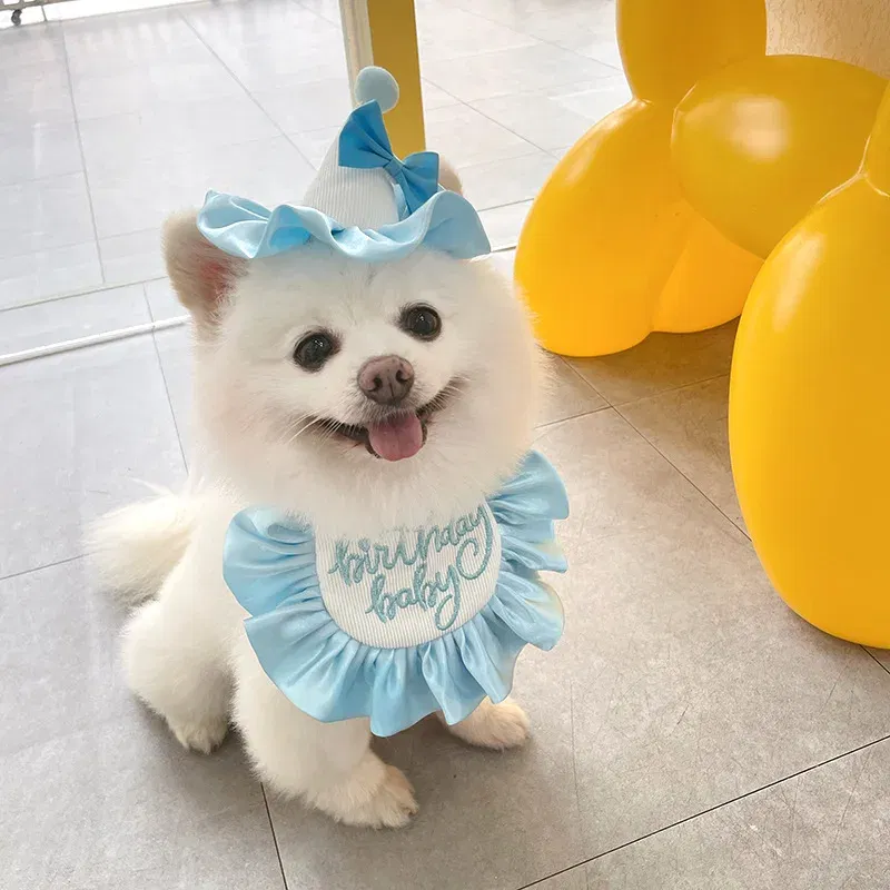 Color: Green, Ships From: CHINA - Pet Dog Birthday Party Dress hat Caps and Scarf Cute Hat Bib Cat Saliva Towel Funny Photography Props Gift Pet puppy Costume