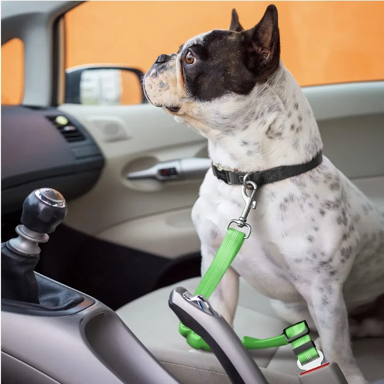 Color: green - Universal Adjustable Cat Dog Seat-Belt Elastic & Reflective Vehicle Nylon Seat Belt for Small Medium Large Dog,Pet Accessoires