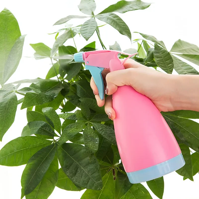Plant Spray Bottle NZ