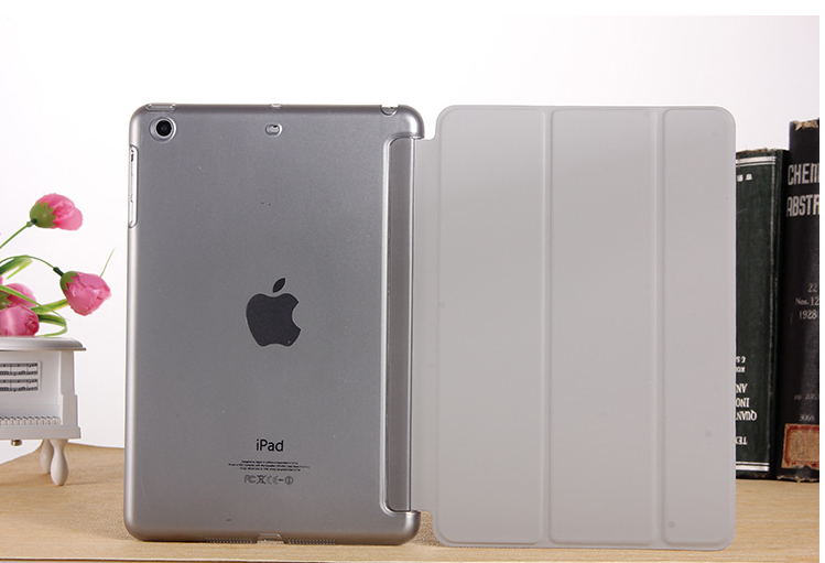 Case iPad Air