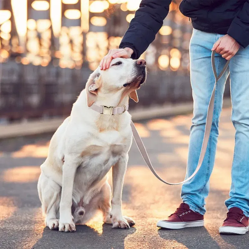 Color: Pink, Size: M - Customized Deerskin Cat and Dog Collar, Adjustable Rope Set, Durable and Personalized, Free Engraved Pet Nameplate, ID Label, Al