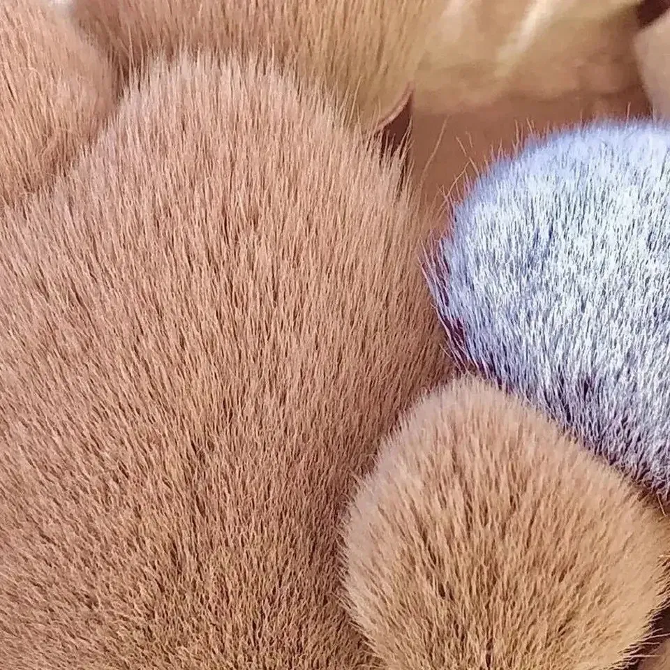 Color: multi, Ships From: CHINA - 13 PCS Makeup Brushes Set Eye Shadow Foundation Women Cosmetic Brush Eyeshadow Blush Beauty Soft Make Up Tools Bag