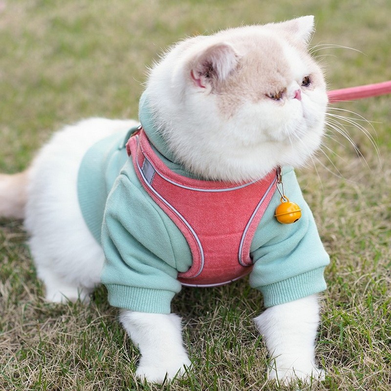 Cat Vest,  Harness and Leash Set