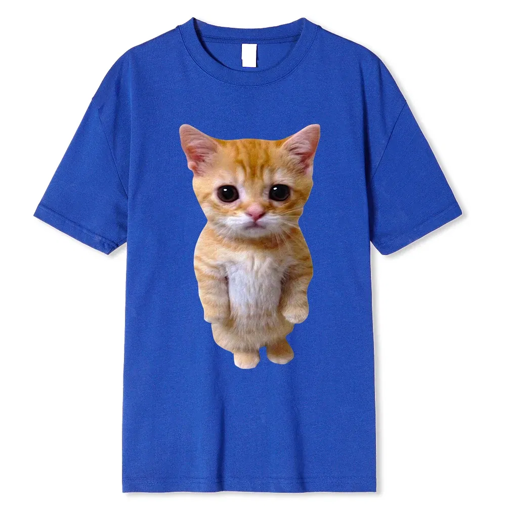 Color: GRAY, Size: XXL - El Gato Meme Sad Crying Cat Munchkin Kitty Meme Trendy Graphic T-shirt Unisex Fashion Short Sleeve T-shirts Oversized Streetwear