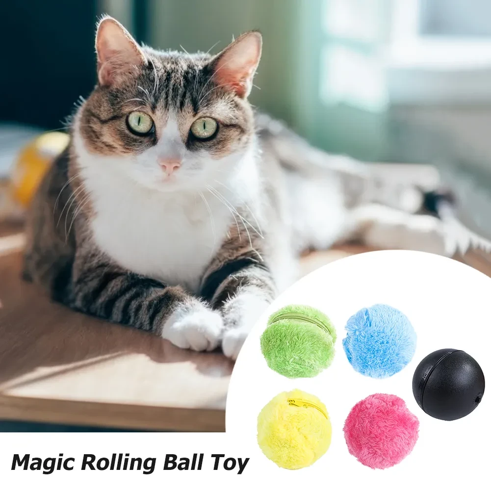 Pet Roller Ball