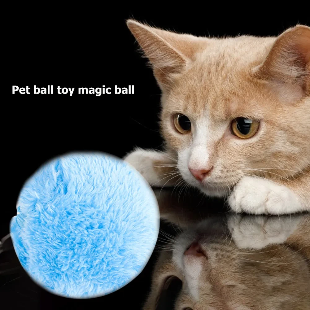 Pet Roller Ball