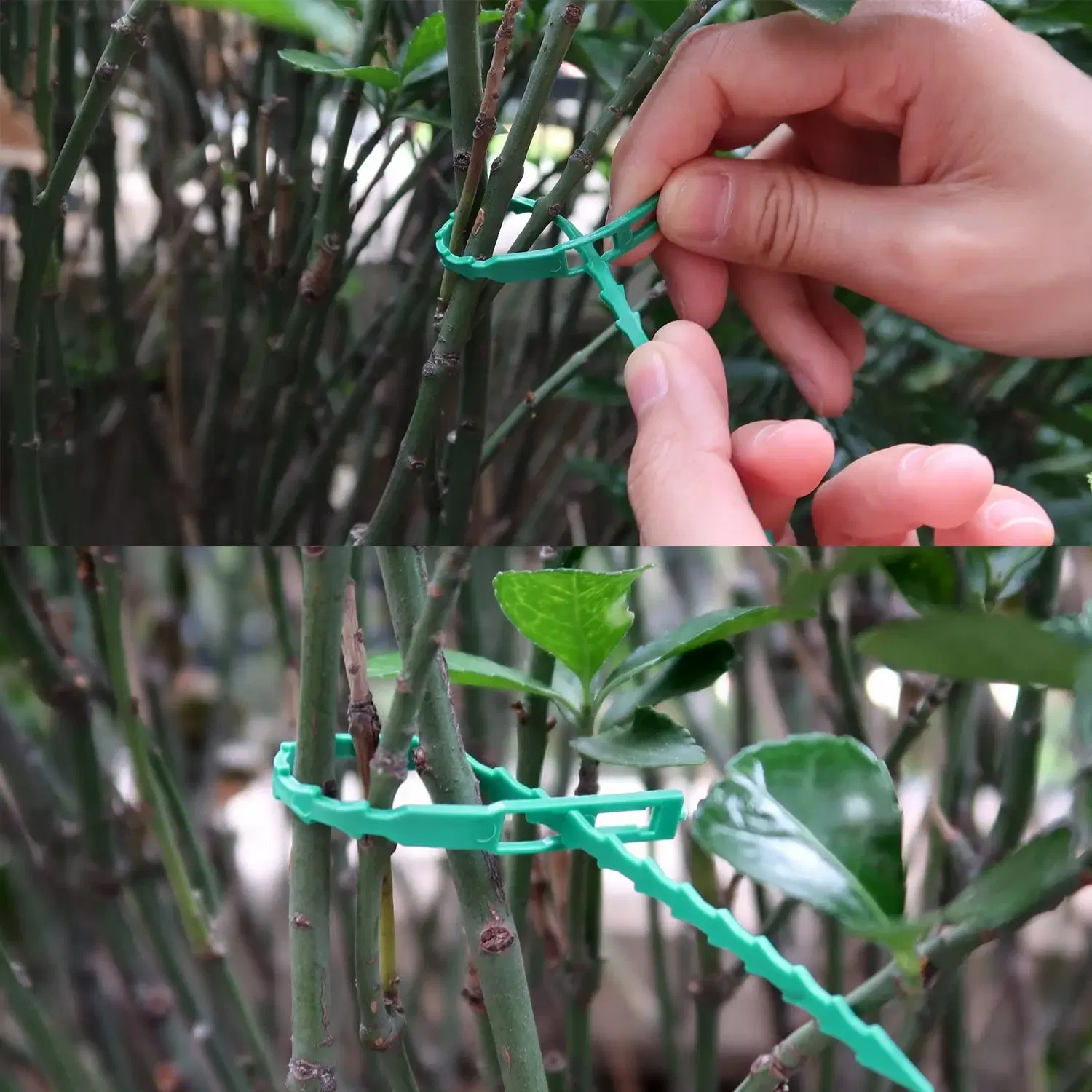 Size: L, Color: Brown - 30/50/100/200Pcs Reusable Garden Cable Ties Plant Support Shrubs Fastener Tree Locking Nylon Adjustable Plastic Cable Ties Tools