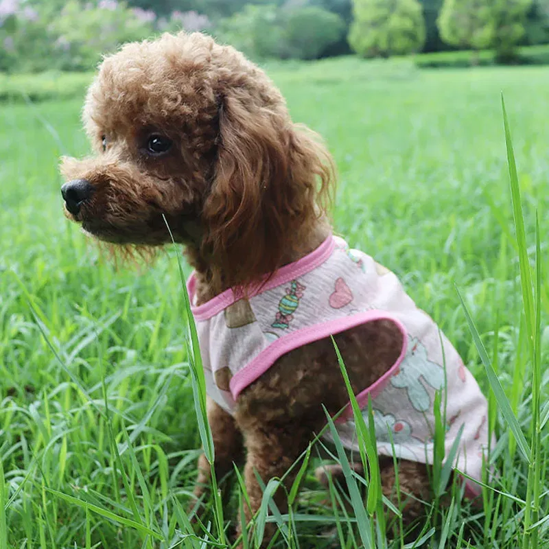 Color: Red, Size: XL - Summer Dog Vest Ultra Thin Breathable Mesh Cloth Pet T-shirt for Small Dogs Cute Cartoon Print Puppy Cat Cheap Clothes Costumes