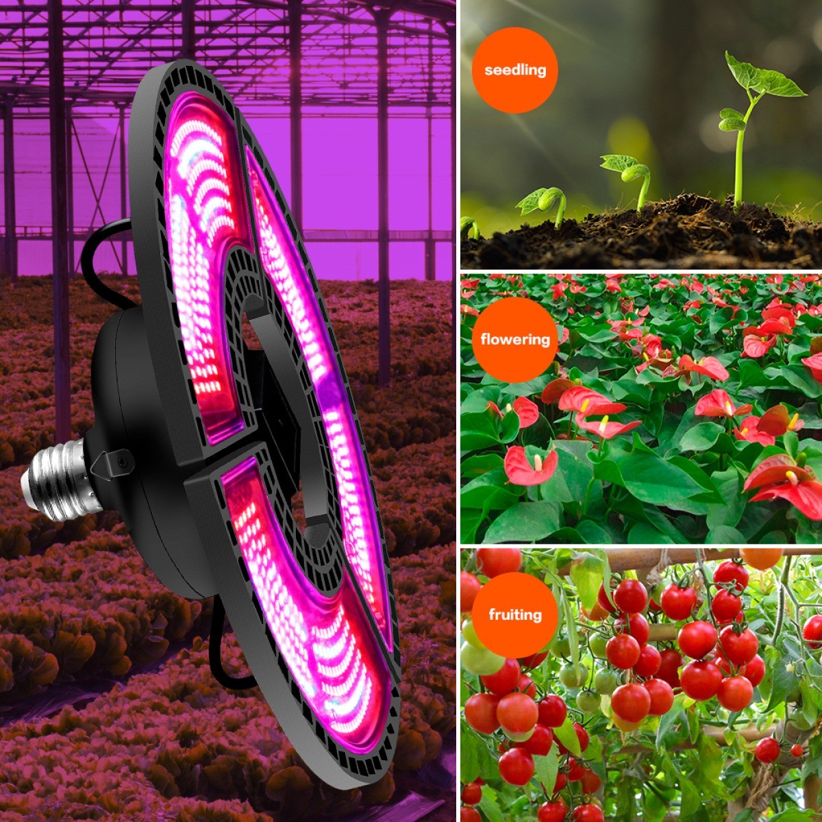 LED Grow Light Plant