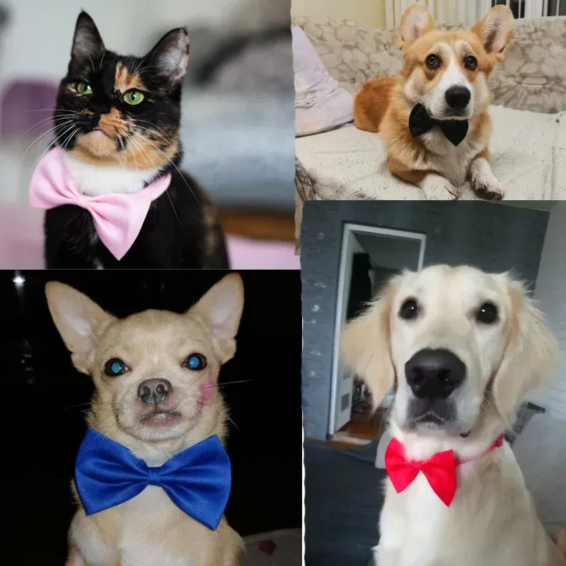 Color: Pink - Pet Dog Cat Necklace Adjustable Strap for Cat Collar Dogs Accessories pet dog bow tie puppy bow ties dog Pet supplies