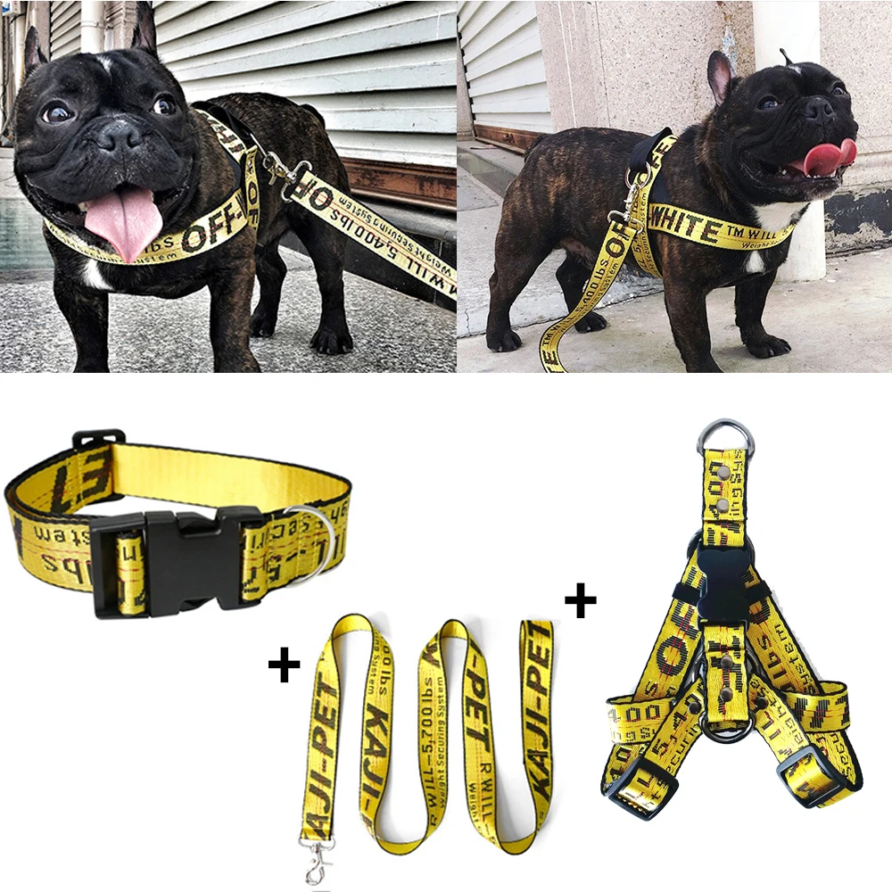 Color: Gold, Size: XS - Fashion Dog Collar Leash Set Gold Chain Nylon Pets Dog Collar Leash Long Rope Lettered Collar Perro Collar For Pitbull Puppy Dog