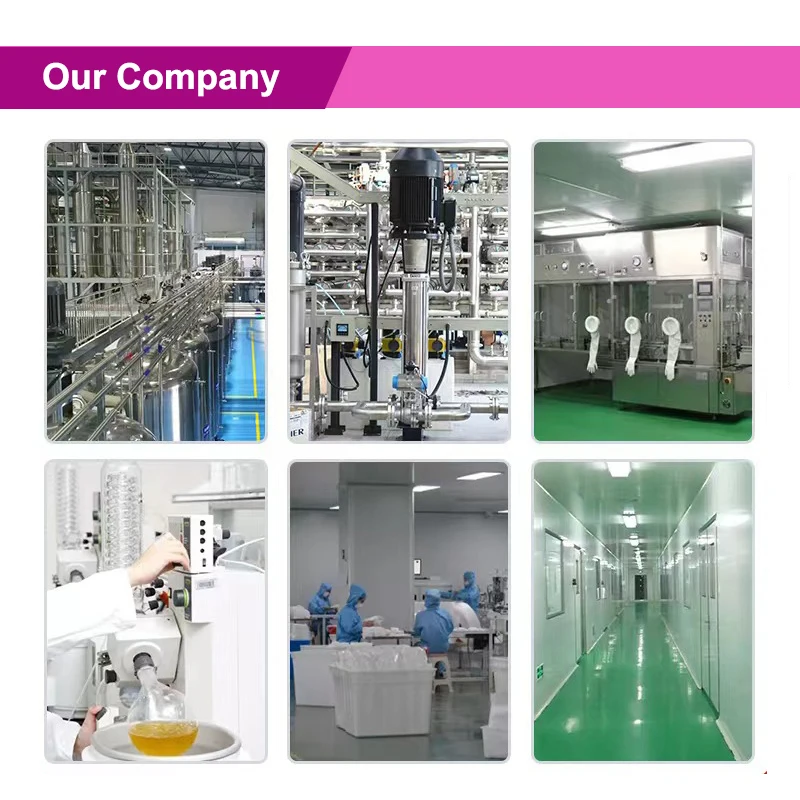 Color: Army Green - Hot Supply  99% SymWhite Powder 377 Skin Whitening Sym White Phenylethyl Resorcinol Cosmetic Raw Material