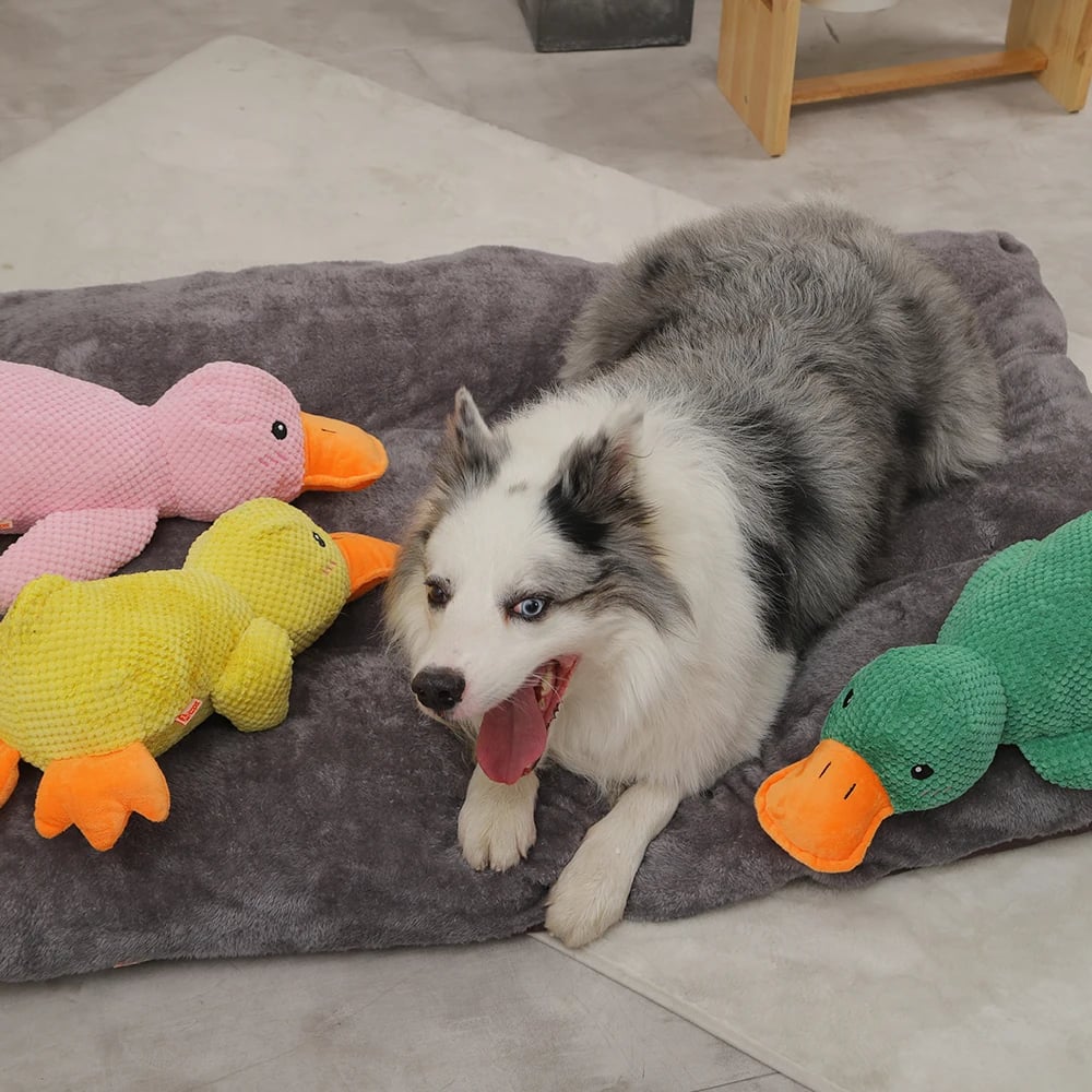 Calming Duck Quack Quack Duck Dog Toy
