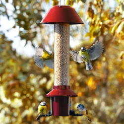 Roamwild PestOff Squirrel Proof Bird Feeder