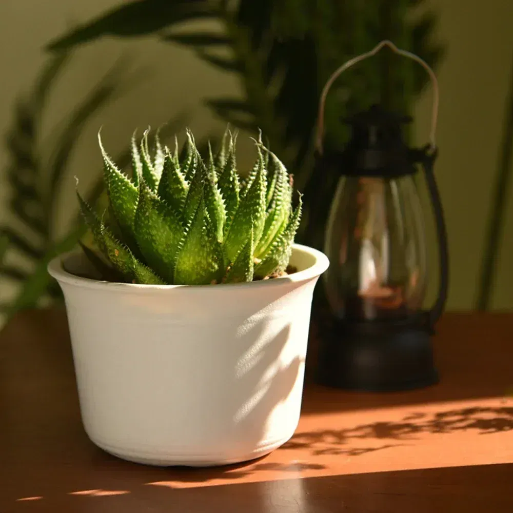 Color: Burgundy, Sheet Size: Small - OIMG Plastic Round Thick Imitation Ceramic Household Indoor Planting Fleshy Green Fruit and Vegetable Resin Plastic Flower Pot