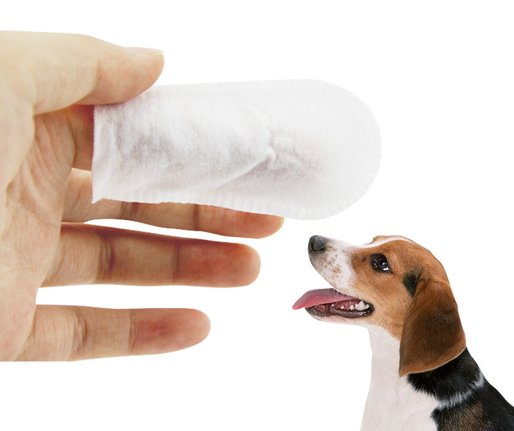 Dog Dental Cleaning Finger Wipes Large Size 50 Pcs