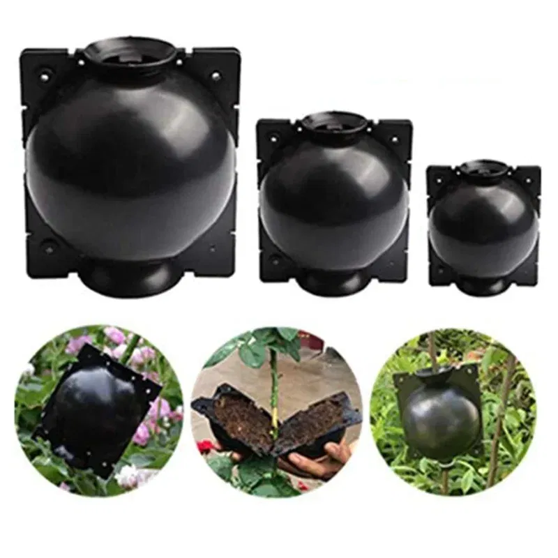 Color: black - 6pc Plant Rooting Ball S-l High Pressure Graft Breeding Case Nursery Box Propagation Plant Root Pot Garden Accessories