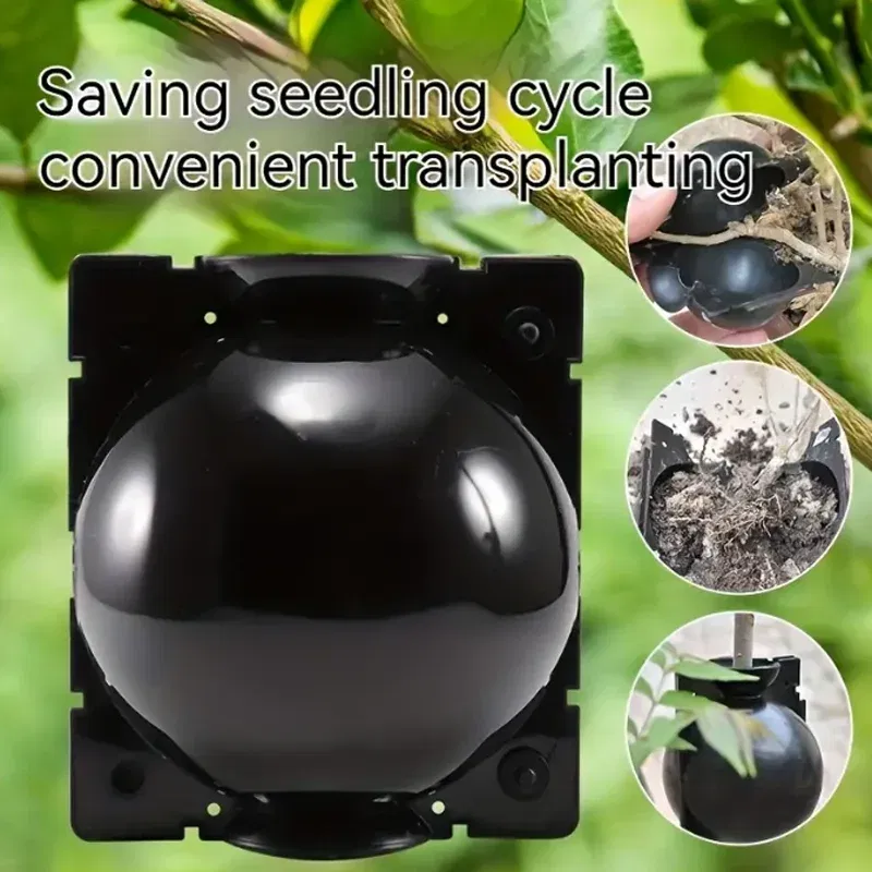 Color: black - 6pc Plant Rooting Ball S-l High Pressure Graft Breeding Case Nursery Box Propagation Plant Root Pot Garden Accessories