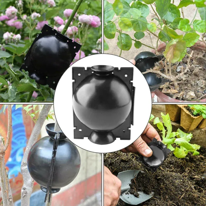 Color: black - 6pc Plant Rooting Ball S-l High Pressure Graft Breeding Case Nursery Box Propagation Plant Root Pot Garden Accessories