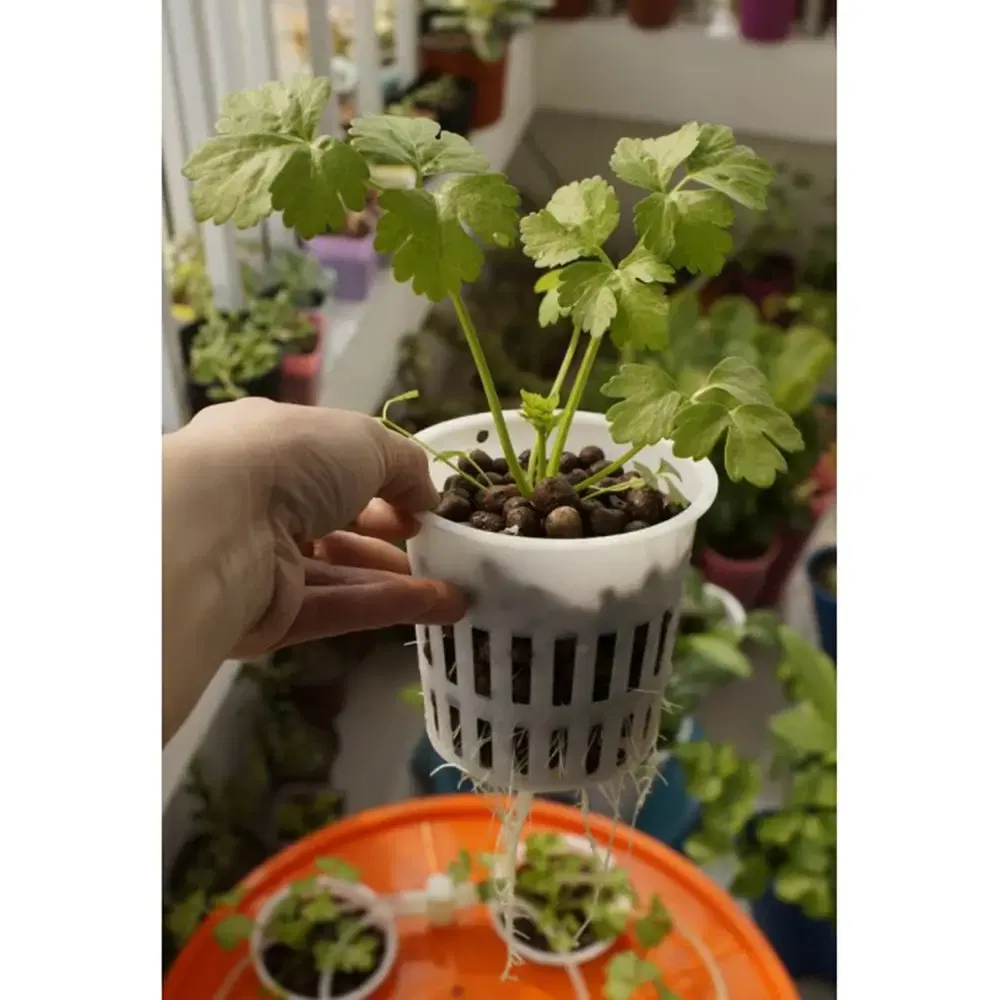 Color: Yellow - Heavy Duty Hydroponic Mesh Pot Net Cup Basket Hydroponic Aeroponic Vegetable Plant Soilless Cultivation Basket 108*98mm