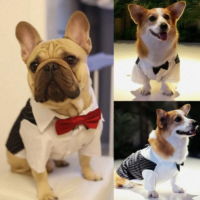 Color: Red, Size: S - Dog Gentleman Wedding Suit Clothes Dog Suit Bow Tie Clothes Halloween Christmas Costume For Small Dogs Teddy Bulldog