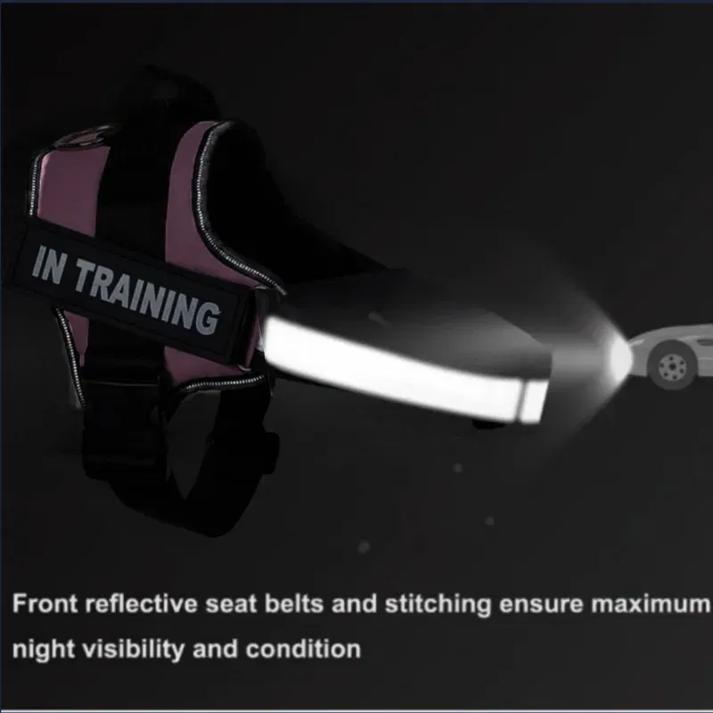 Color: Pink, Size: M - Custom Dog Harness Reflective and Breathable Adjustable Tank Top Free Personalized  Name Label Pet leash Set