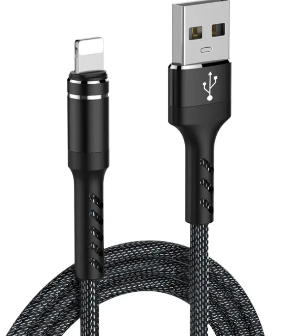 iPad Charger and Cable