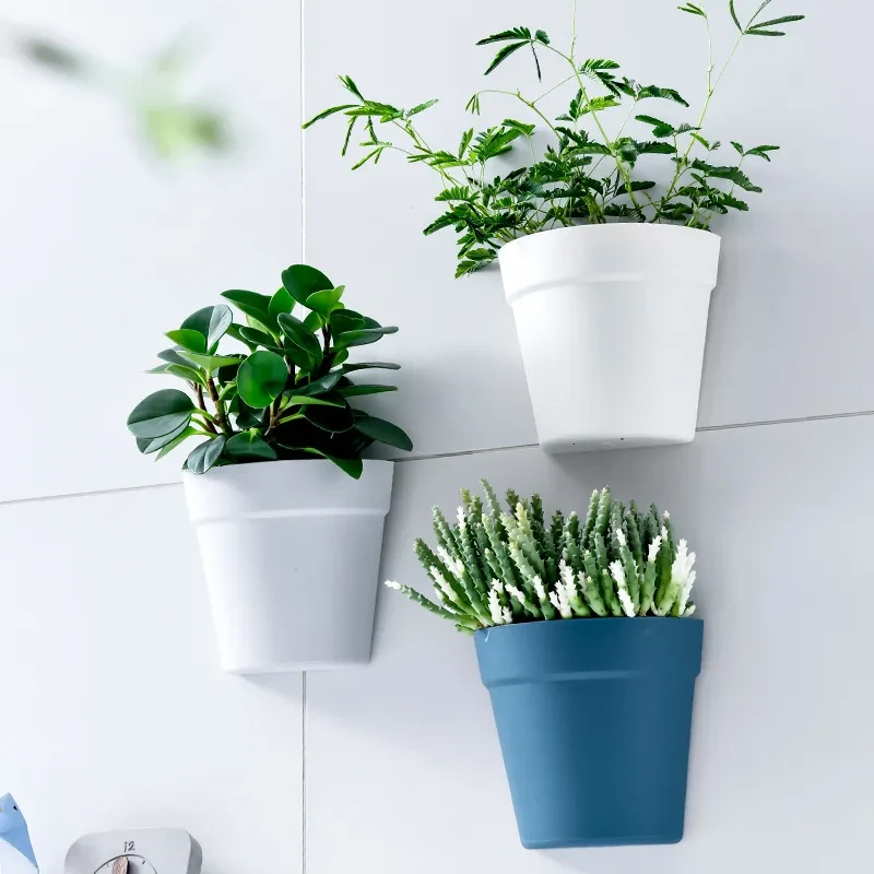 Small Plastic Plant Pots NZ