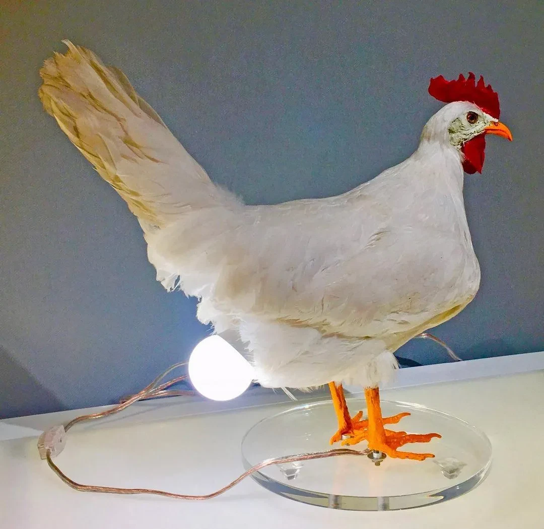 Chicken Egg Lamp