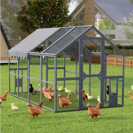 Outdoor Chicken Coop