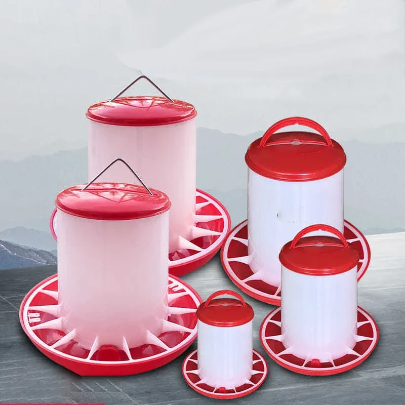 Automatic Chicken Drinkers and Feeders