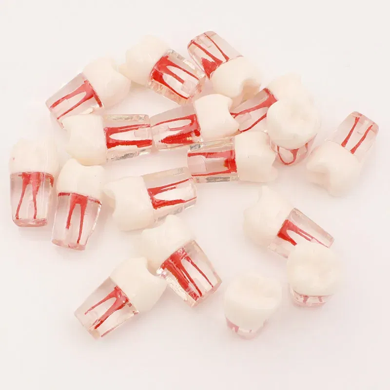 Color: Light Purple - 10Pc Dental Tooth Model Endodontic Root Canal Block RCT Practice Pulp Cavity Dentistry Replace Resin Teeth Endo Training Student