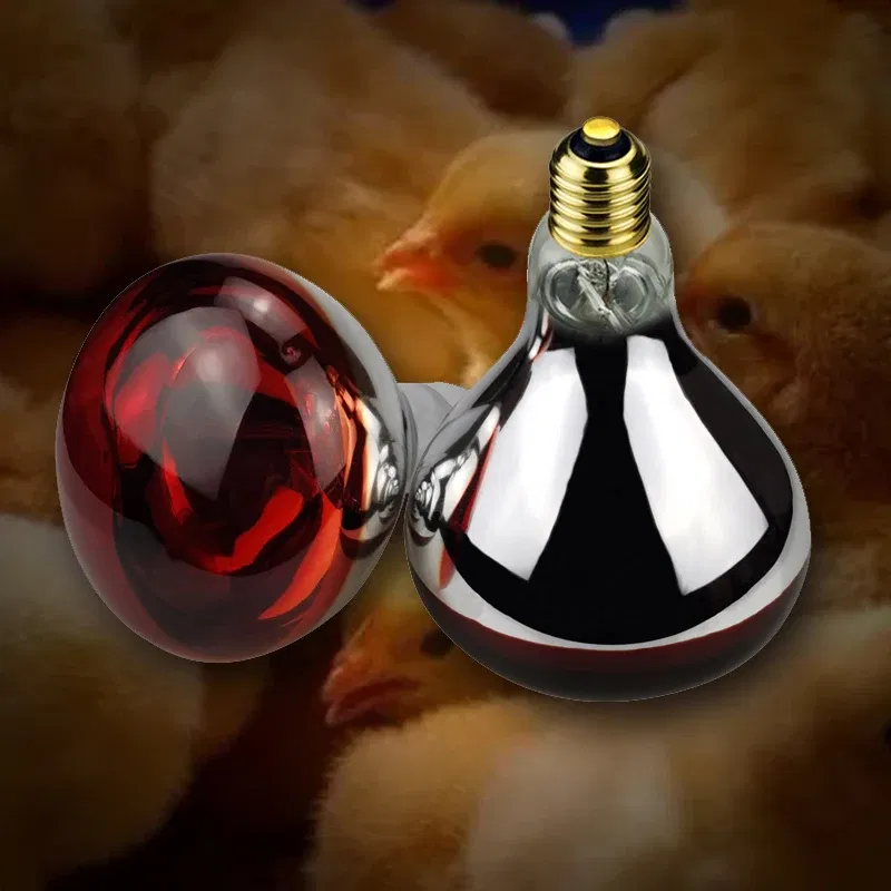 Color: Army Green, Ships From: CHINA - BONGBADA Quartz glass waterproof and explosion-proof E26 E27 Red R40 Infrared Heat Lamp Farm lamp 100W 150W 200W 250W 275W