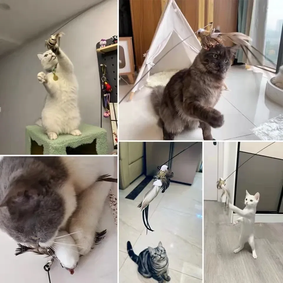 Color: GRAY, Ships From: CHINA - Simulation Bird Interactive Funny Cat Stick Toy Furry Feather Bird With Bell Sucker Cat Stick Toy Kitten Playing Pet Accessories