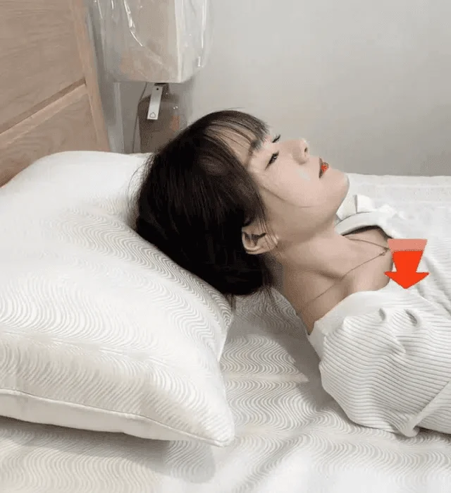 Sleep Enhancing Cervical Support Comfort Goose Down Pillow