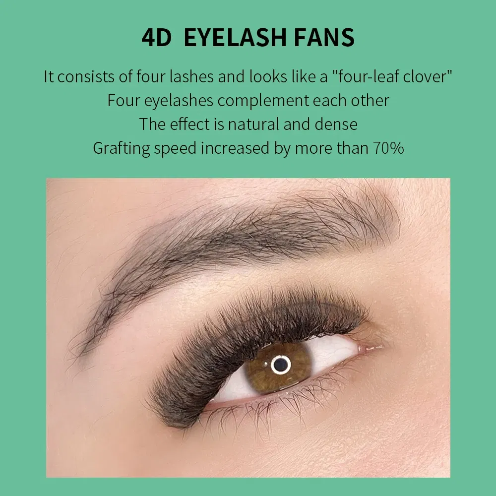Color: Brushed Chrome, Curl: LU, Thickness: 0.07mm, Length: 14mm - GLAMLASH 4D - W Shaped Eyelash Extension Automatic Flowering W Fake Lashes 0.07mm C/D/L/LU Curl Individual