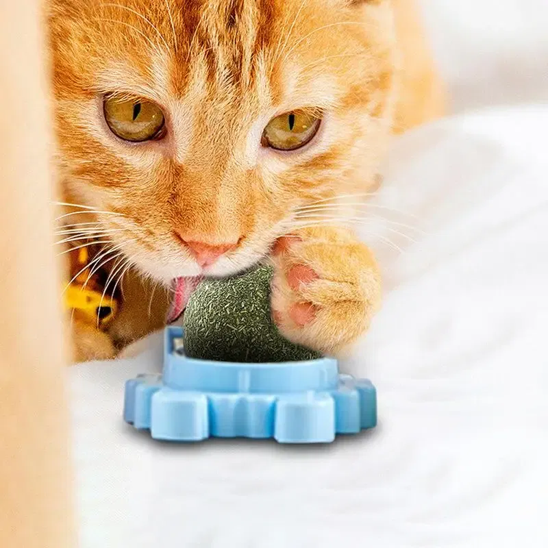 Color: Green, Ships From: CHINA - Catnip Wall Ball Safe Edible Cat Licking Toy Cat Chew Toy Teeth Cleaning Cat Bite Toy Removable Catnip Licking Toys For Cats