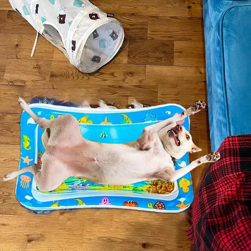 Color: Yellow, Ships From: CHINA - Thickened Water Sensory Mat Interactive And Engaging Experience For Pets And Kids Coolling Sensor Water Playmat Cat Dog Supplies