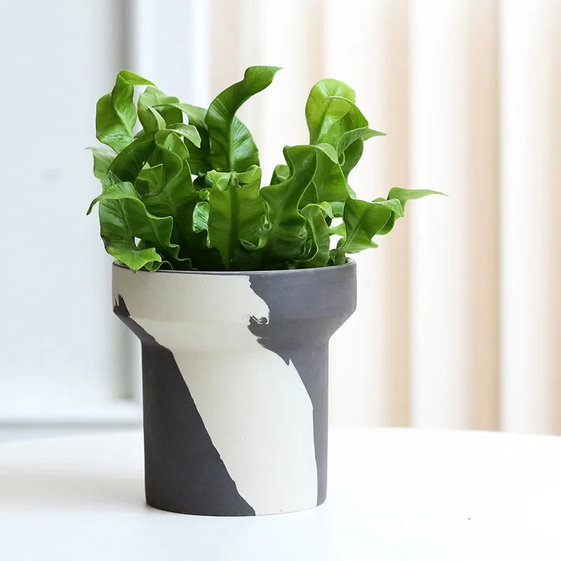 Ceramic Planters