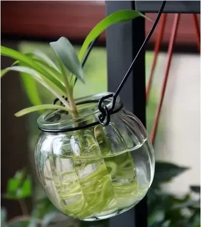 Glass Container Vase
