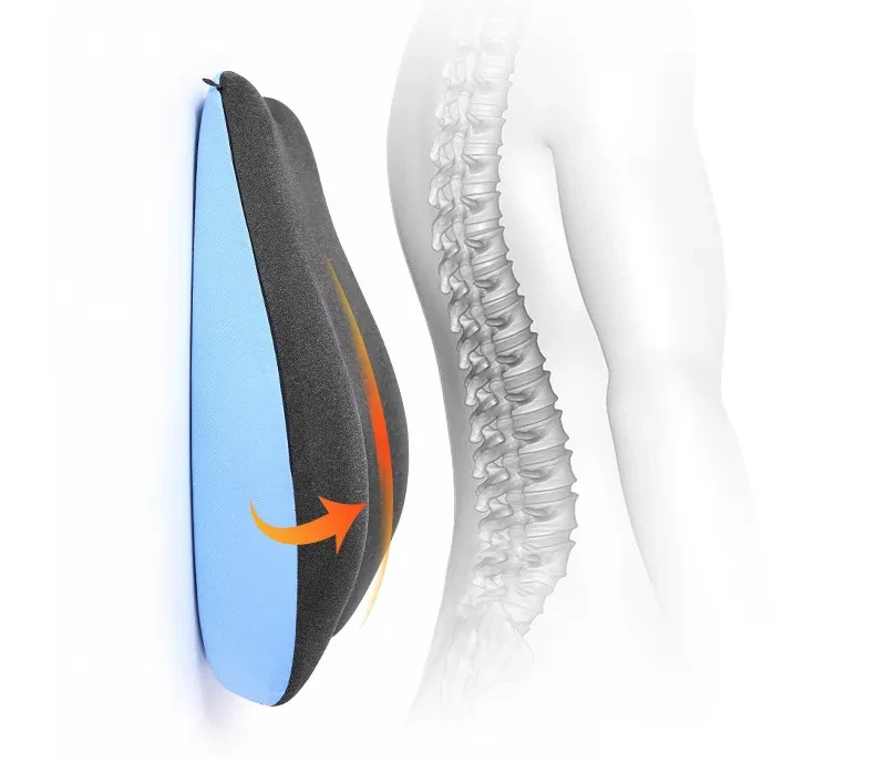 Back Cushion