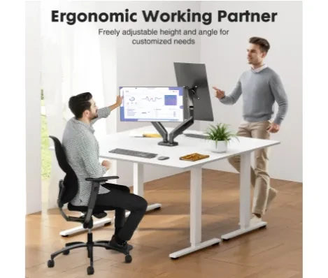 Monitor Desk Mount NZ