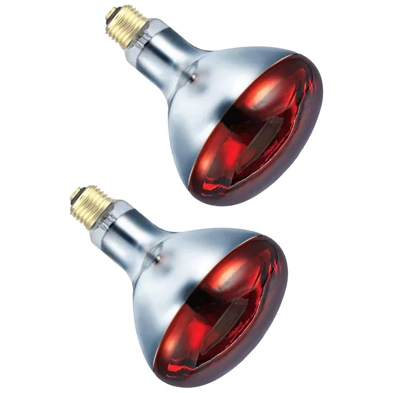 Color: Scarlet, Ships From: United States - BONGBADA Quartz glass waterproof and explosion-proof E26 E27 Red R40 Infrared Heat Lamp Farm lamp 100W 150W 200W 250W 275W