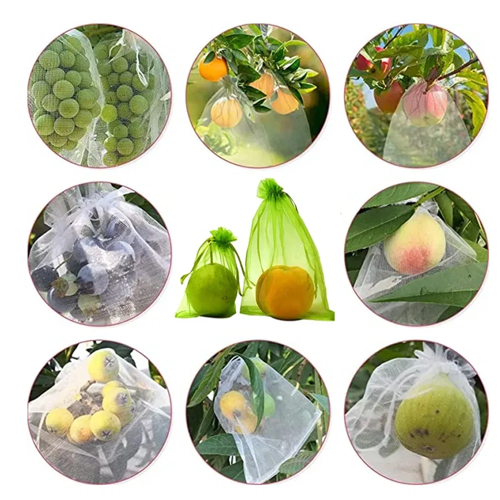 Color: light yellow, Size: 5XL - 20-200PCS Vegetable Grapes Fruit Grow Bags Fruit Protection Bags Garden Anti-Bird Netting Mesh Bag Strawberry Bags Garden Tools